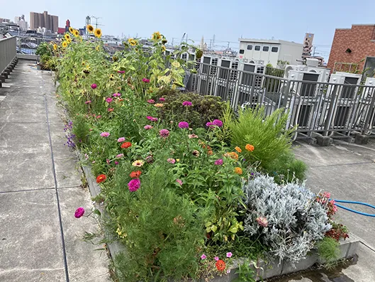 屋上・堺市中区の老人ホーム【晴れる家1号館】